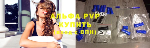 индика Балахна