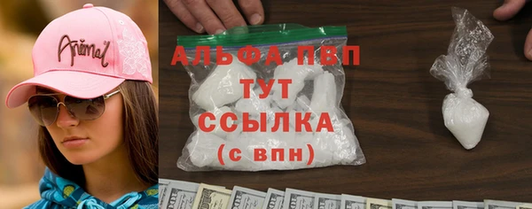 индика Балахна