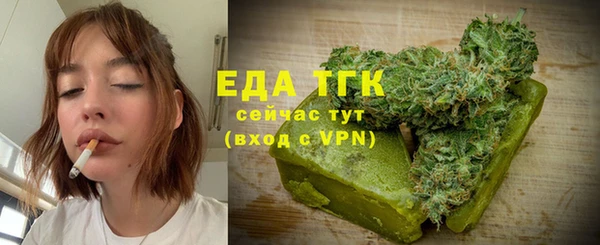 индика Балахна