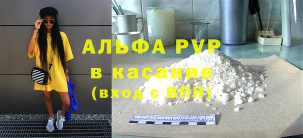 индика Балахна
